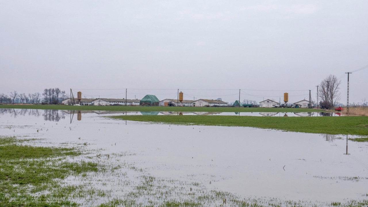 Nehezíti a tavaszi vetést a belvíz
