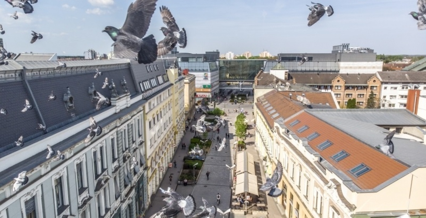 Vidáman ébredt a város – Hamarosan kezdődnek az idei Helló Nyíregyháza! programjai