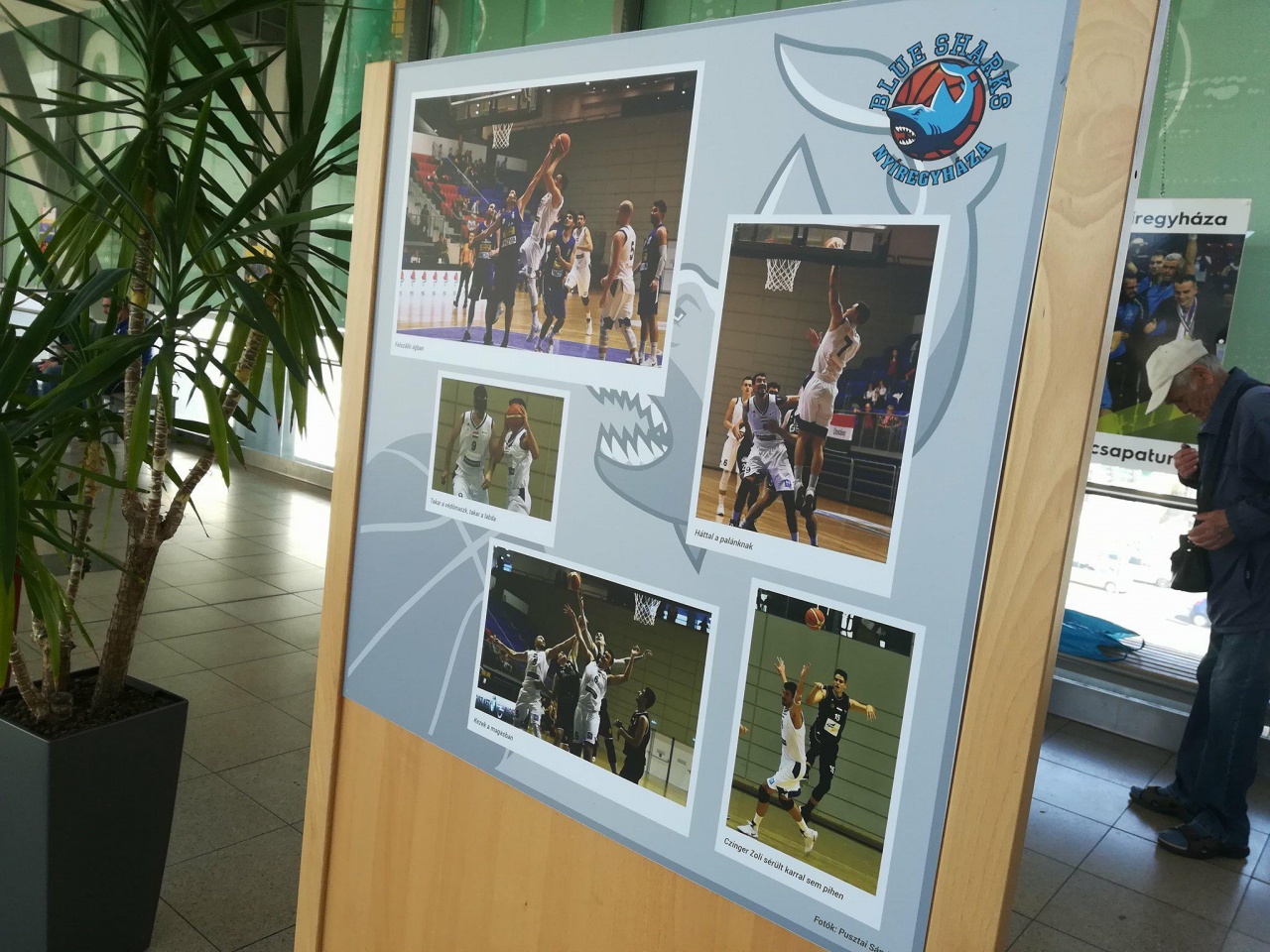 Kiállítás sportfotókból - emlékezetes pillanatok Pusztai Sándor képein