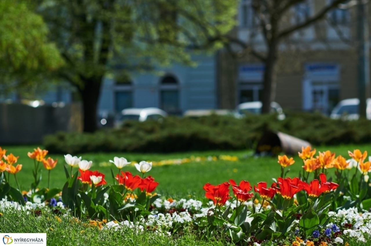 Csapadékosabb, de továbbra is meleg idő várható a jövő héten