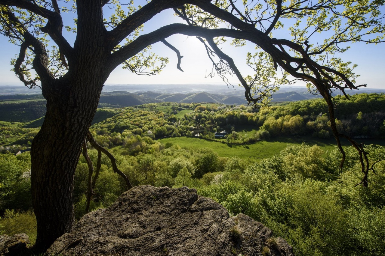 Országszerte a Föld napját ünnepelték
