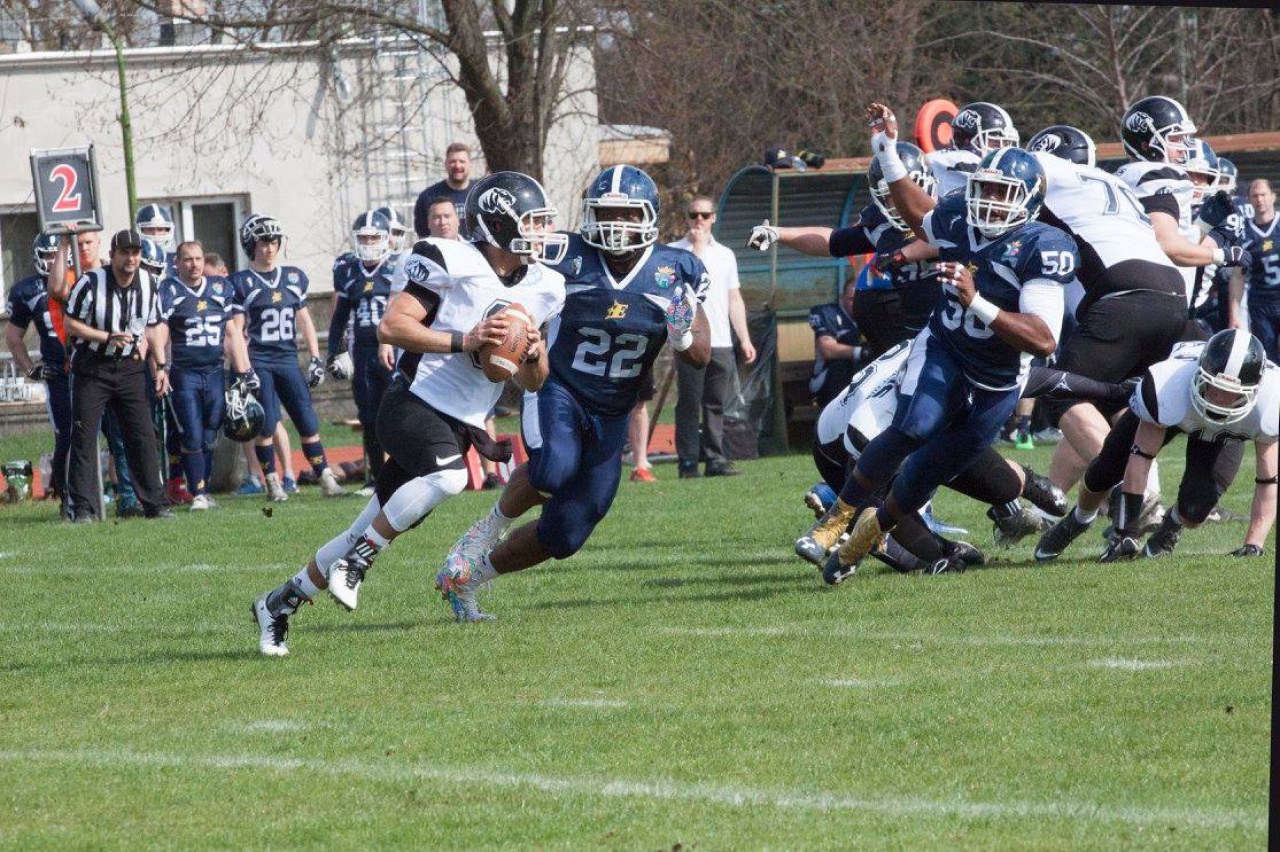 Szombaton Tigers meccs a Városi Stadionban
