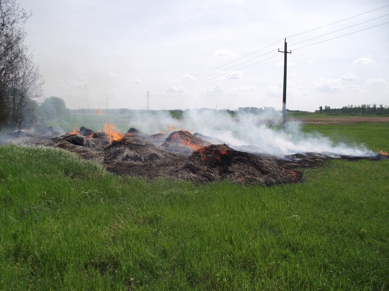Tűzesetek sorozata a megyében – Mindenhol sikerült megakadályozni a lángok szétterjedését