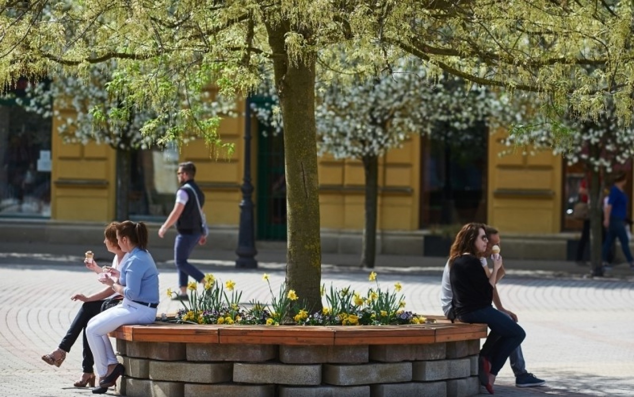 Megszépült a város – Gőzerővel dolgoztak az elmúlt hetekben a NYÍRVV munkatársai