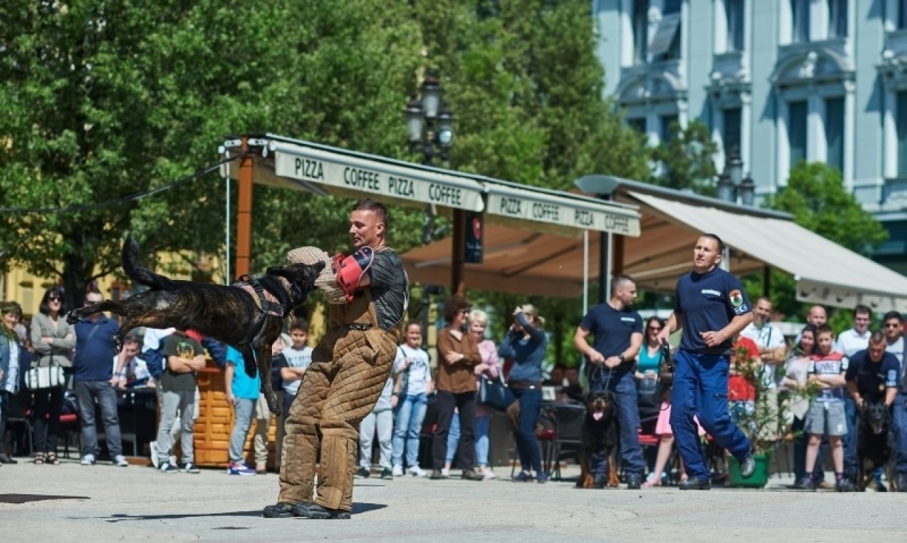 Immár hetedik alkalommal rendezték meg a Megyei Rendvédelmi Napot Nyíregyháza belvárosában