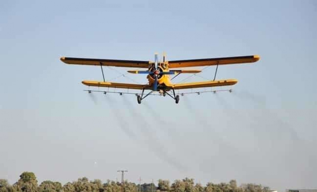 Folytatódik a biológiai szúnyogirtás – A gyérítést Nyíregyházán a reggeli órákban végezték