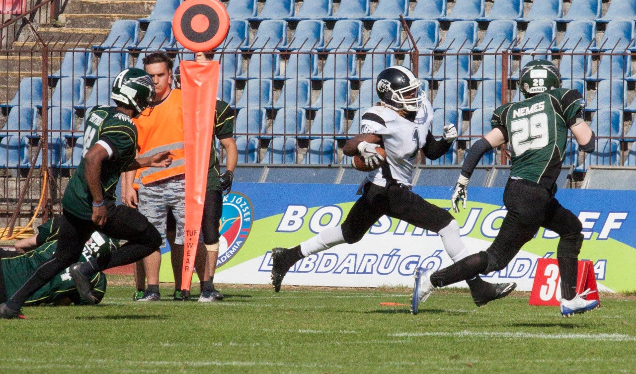 Kiütéses győzelemmel mutatkoztak be a Tigrisek a Városi Stadionban