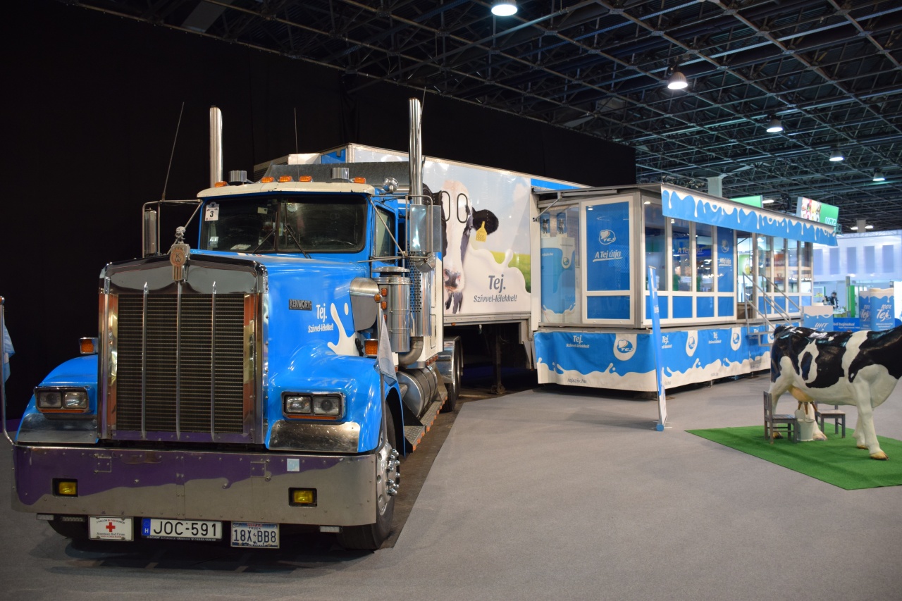 Tej újratöltve! – Az egészségtudatos táplálkozással ismerkedhetnek a gyerekek