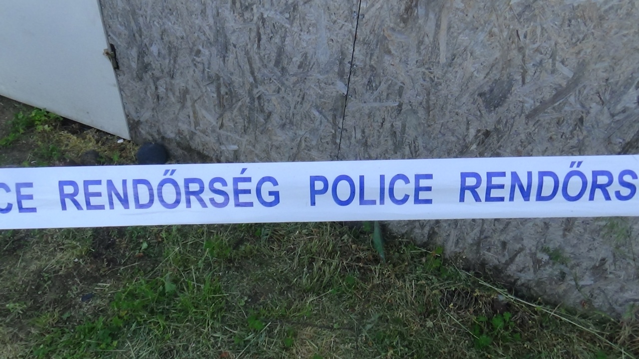 Erre nem számítottak a kertészkedők! – Tojásgránátok kerültek elő egy sóstóhegyi kertből