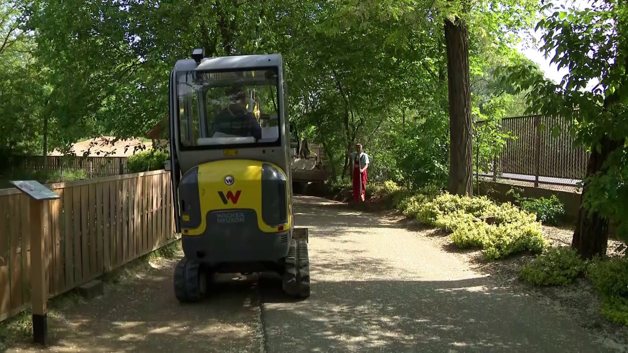 Már javában tart az erdei sétány és ökológiai sétaút építése Sóstógyógyfürdőn