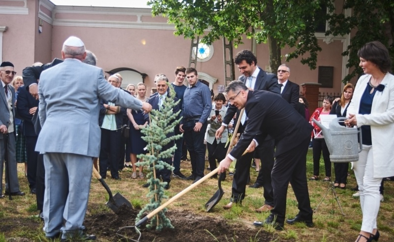 Izrael 70 – Faültetéssel, filmvetítéssel és előadásokkal emlékeztek Nyíregyházán