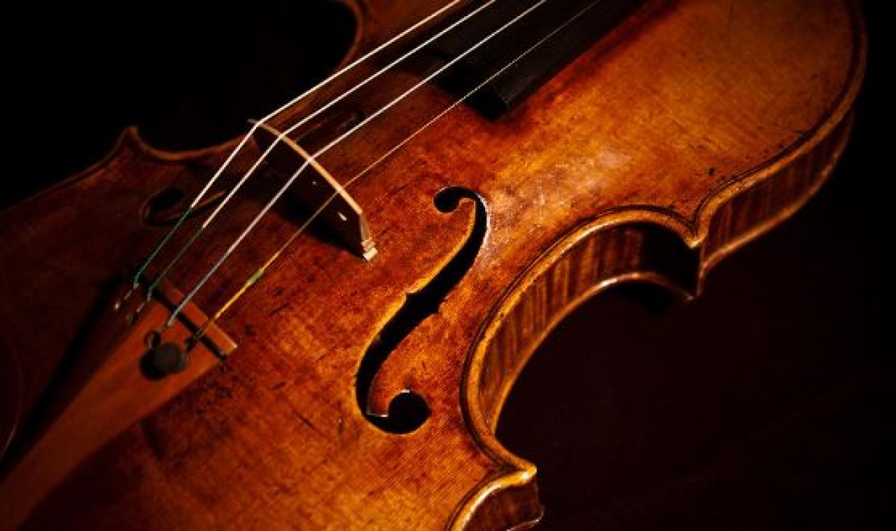 Jogdíj kifizetés májusban