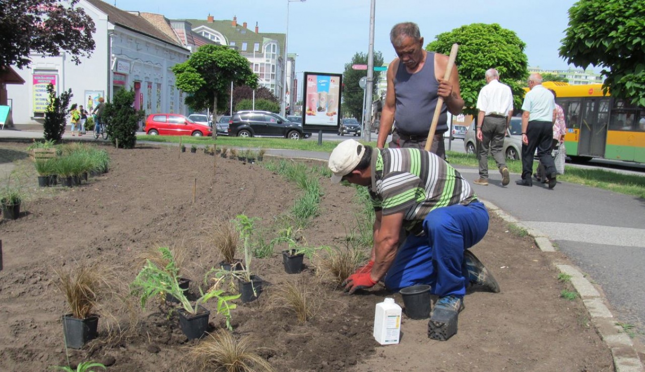 Egyedi fűágyás a Kelet előtt