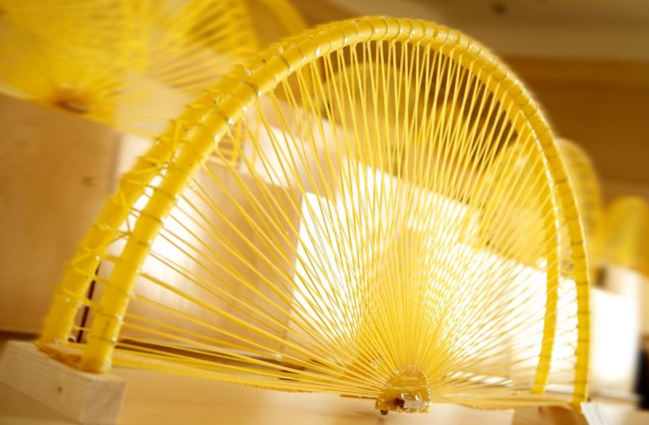 Csütörtökön rendezik a tésztahídépítő-világbajnokságot