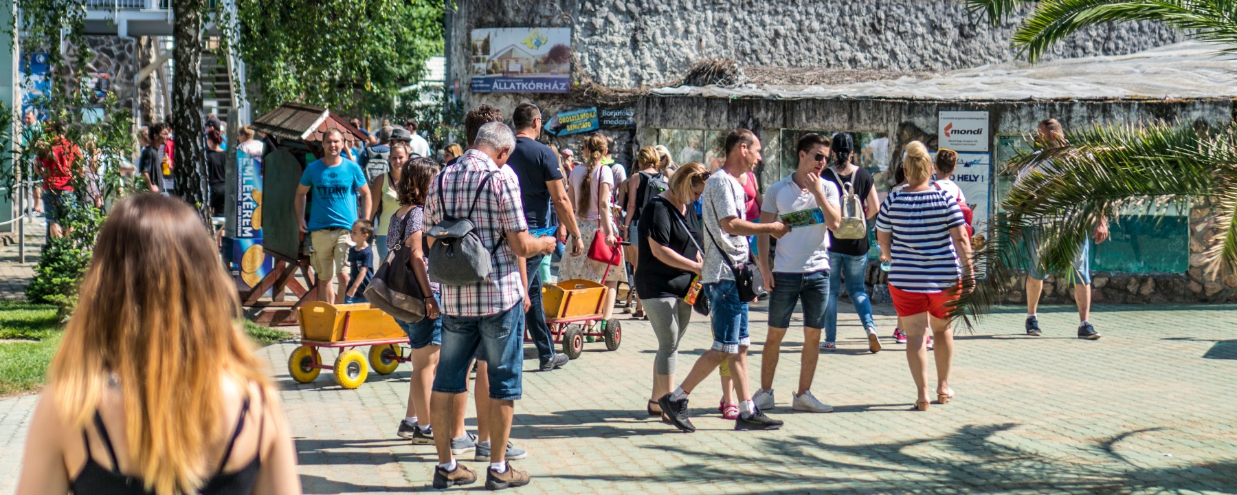 Családok éve – A Nyíregyházi Állatpark is felejthetetlen programokkal várta a látogatókat