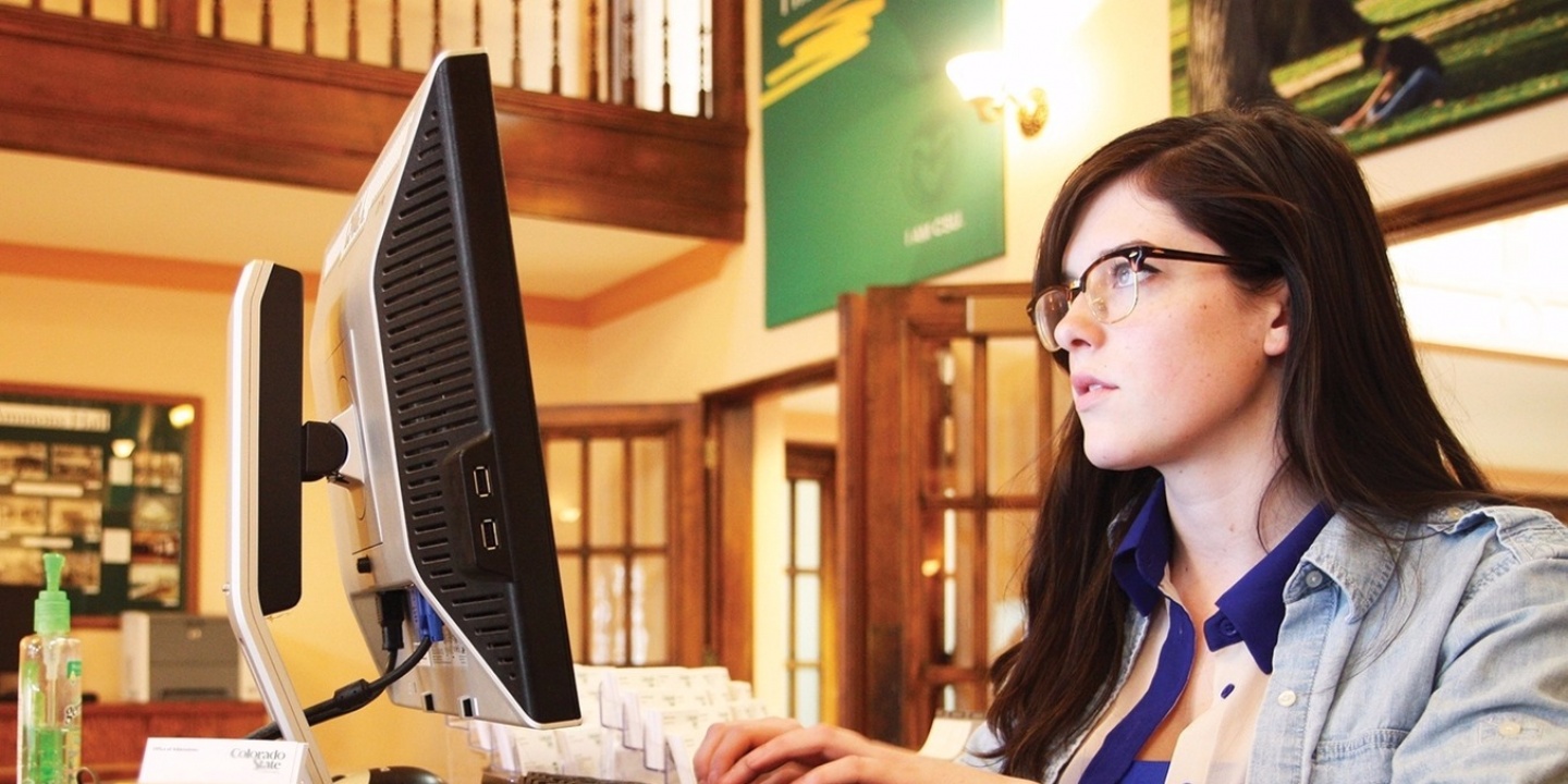 Új lehetőségekkel bővül az idei nyári diákmunka program