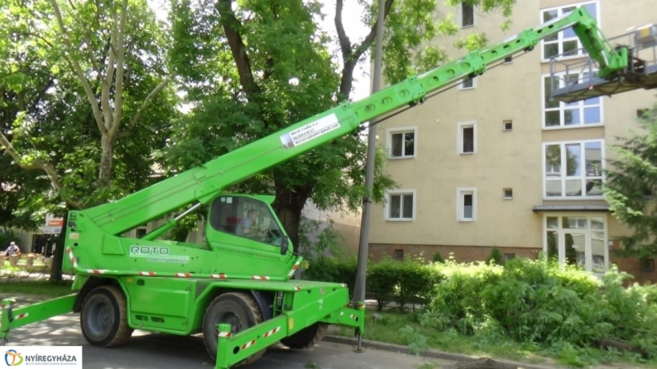 Fakivágás a Bocskai utcán