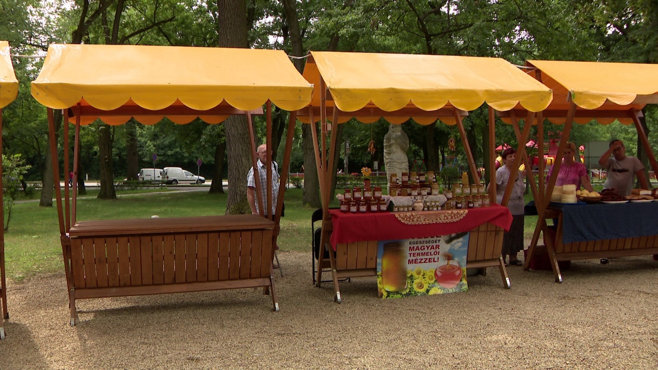 Szörp, sajt és méz – Újra várja a helyi lakosokat és a turistákat a Sóstói Piac!