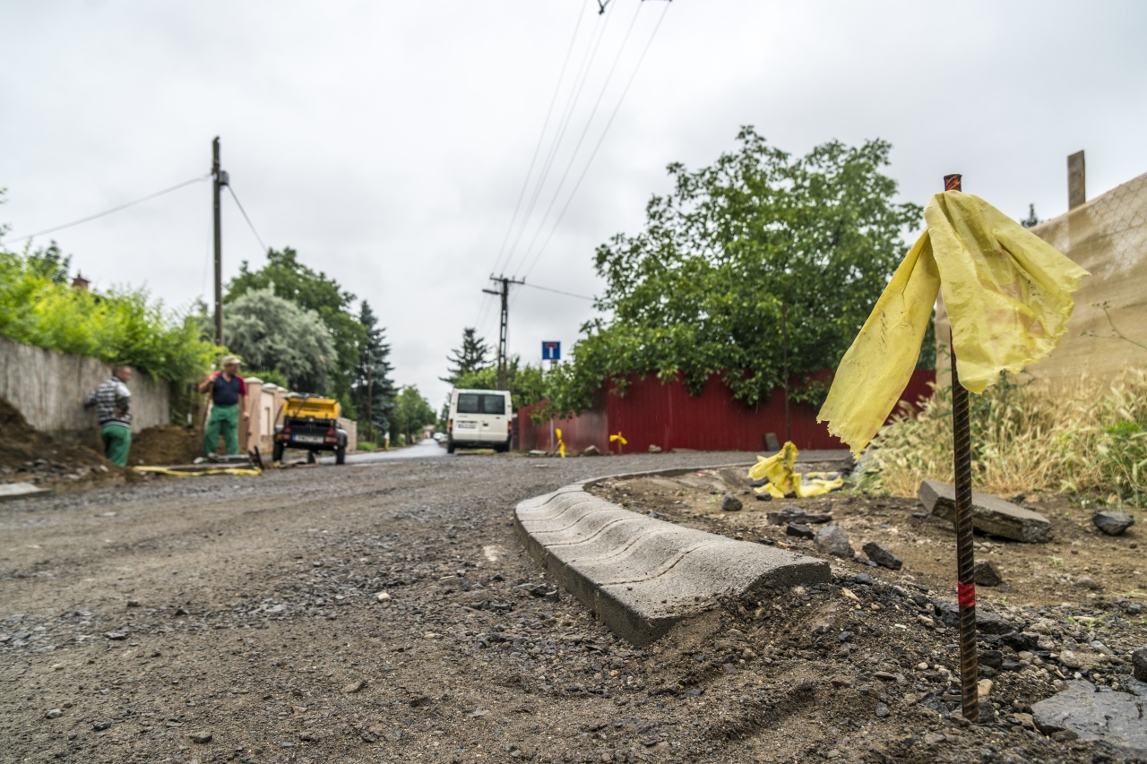 Ennek a Platánnak jót tesz az aszfalt!