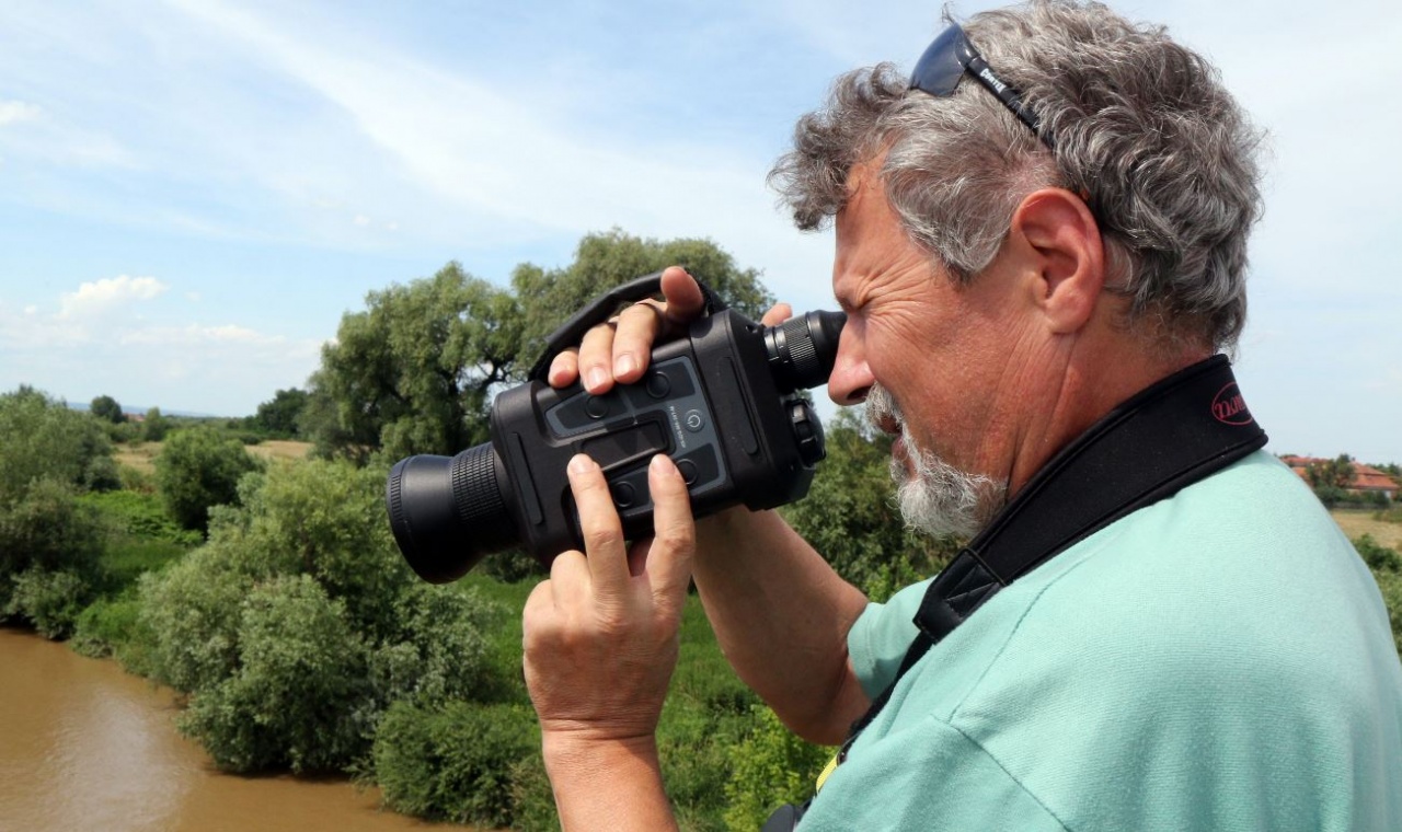 Keresik a Borsodban felbukkant medvét