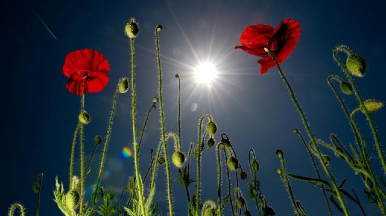 Strandidő lesz, csak néha bújik el a nap