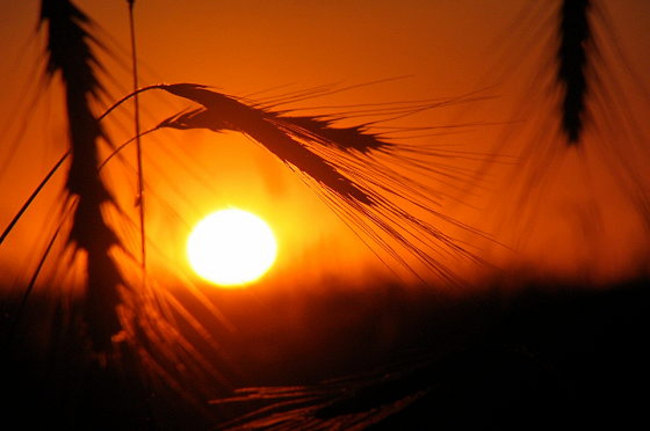 Csütörtökön bemutatkozik a csillagászati nyár – 33 fok is lehet