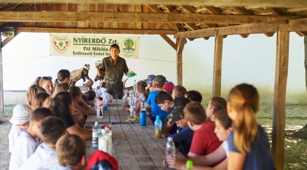 Nyári táborok – 7 helyszín, 25 turnus, 1600 boldog kisdiák