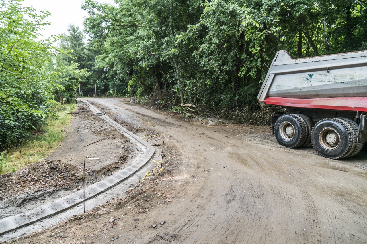 Mi a közös az Ezüstfenyőben, a Tiszafában és a Füzesben? A szegély már biztos!