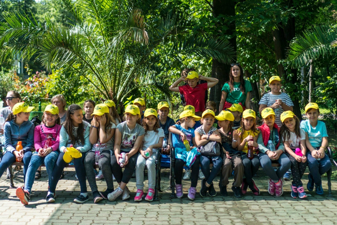 Állati programok Nyíregyházán – Kezdetét vette a Zoo-suli második turnusa!