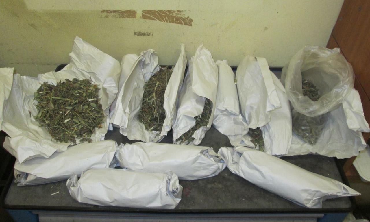 Gyógykezeléshez kellett a drog?