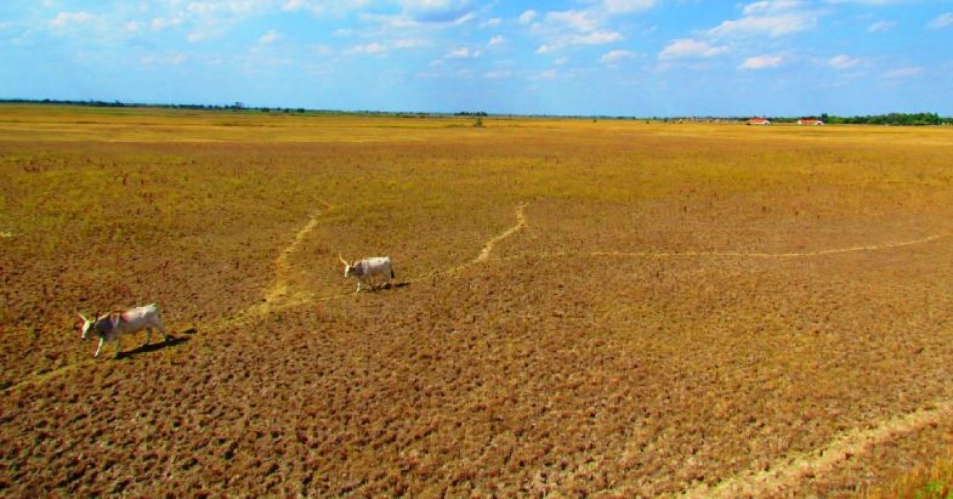 Megkezdődött Hortobágy és Szalacs turisztikai fejlesztési programja