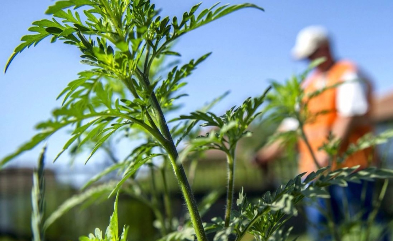 Figyelem! Vasárnaptól már büntethetnek is