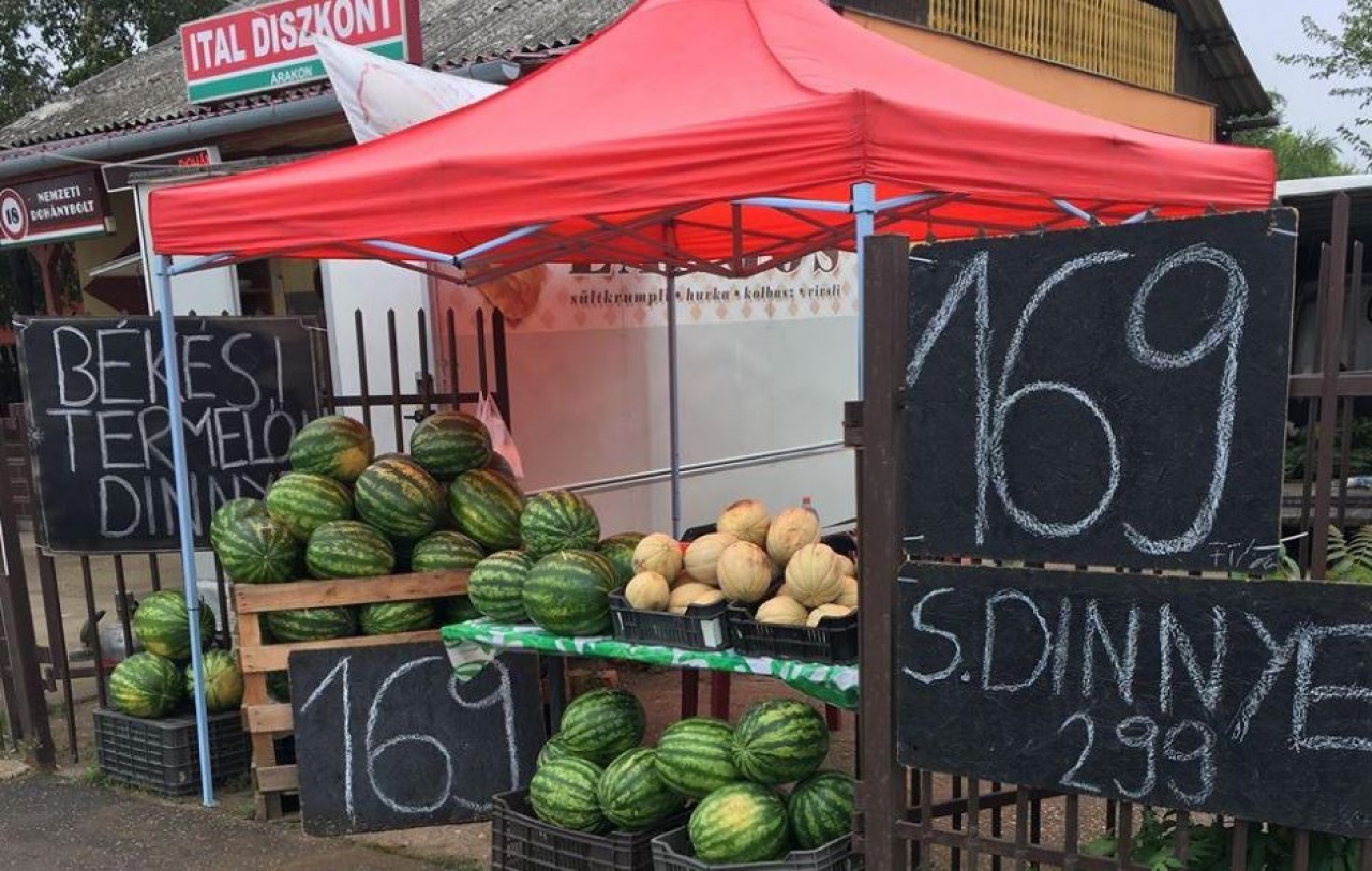 Megkezdődött a dinnyeszezon