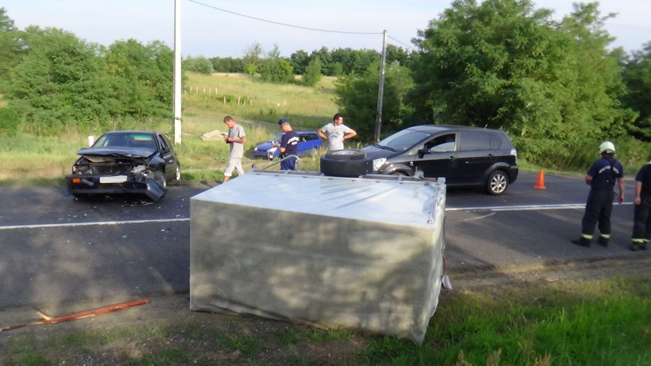 Birkákat szállított a karambolozó kisteherautó, egy állat elpusztult a balesetben