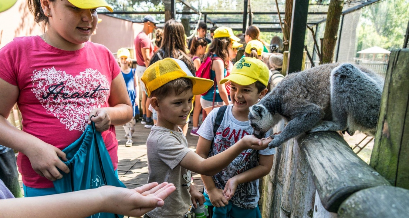 Állati kaland! – Felejthetetlen nyári élményekkel térnek haza a Zoo-Suli táborozói