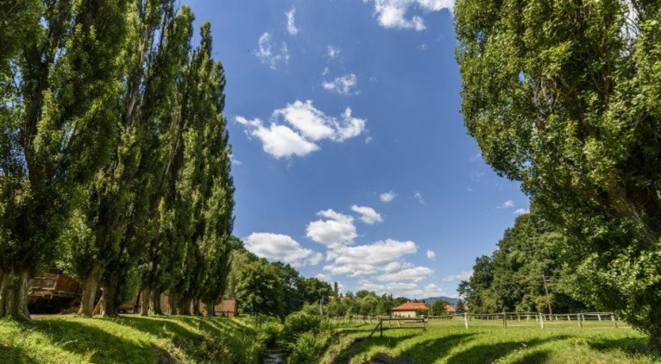 Szeles, de napos, meleg időt hoz a hét második fele