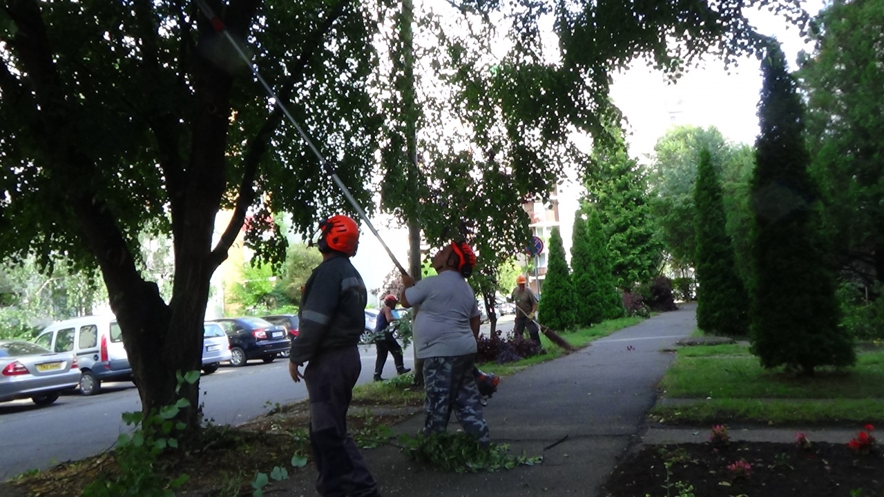 Gallyaznak a város több pontján – Fokozott figyelemmel közlekedjenek