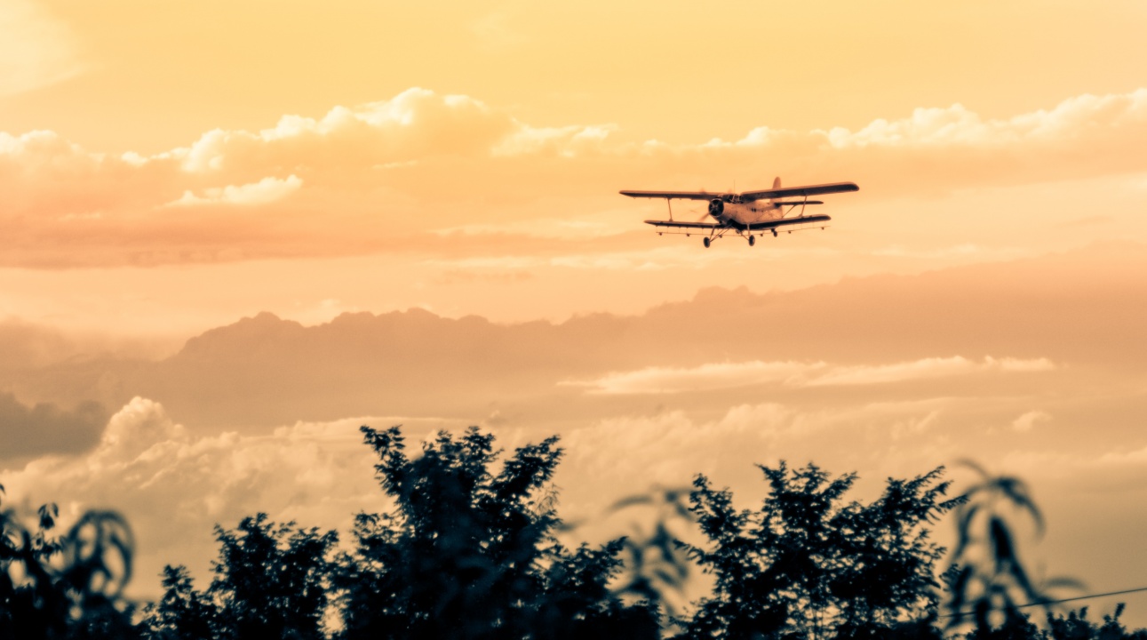 A héten sem kímélték a szúnyokat Nyíregyházán! – Olvasói fotó érkezett