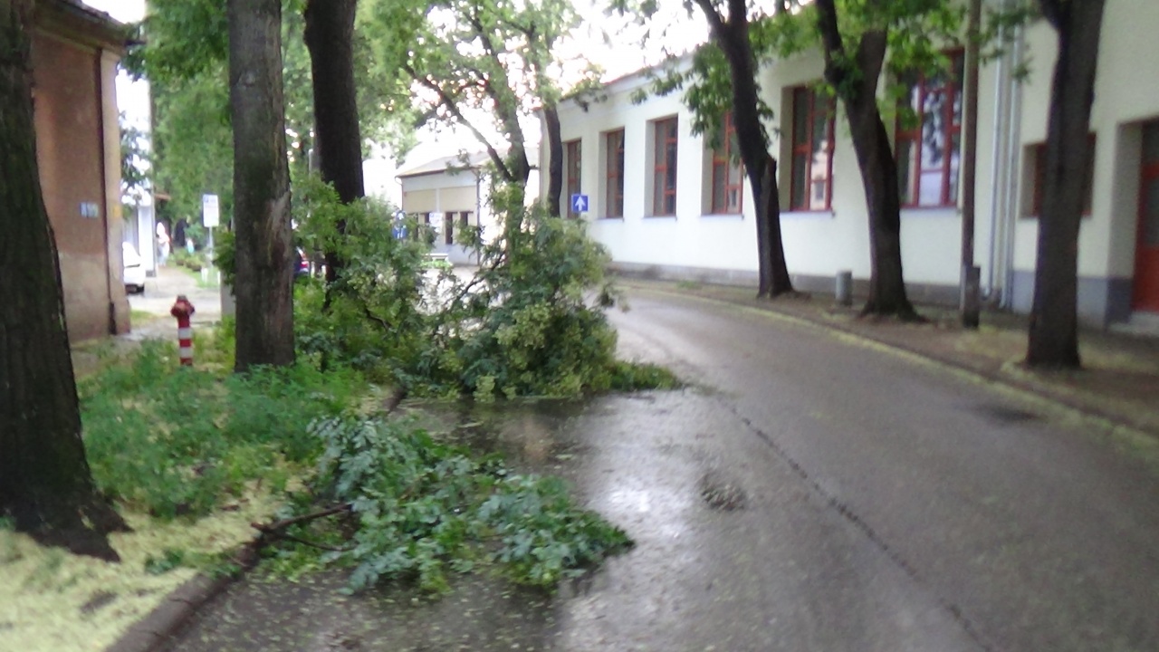 A város több pontján is károkat okozott a kedd délután Nyíregyházára lecsapó vihar