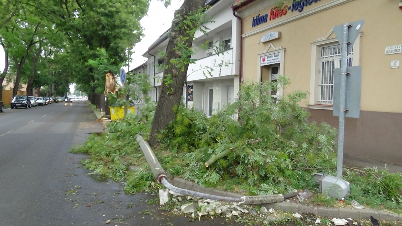 Jelentős károkat okozott a viharos szél a Dózsa György utcán