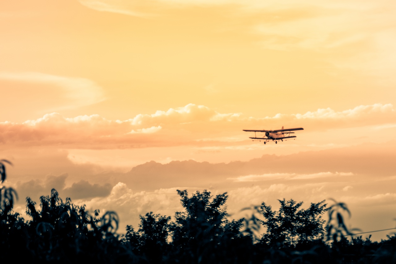 Még mindig tart a harc a vérszívók ellen – Százezer hektáron permeteznek a héten