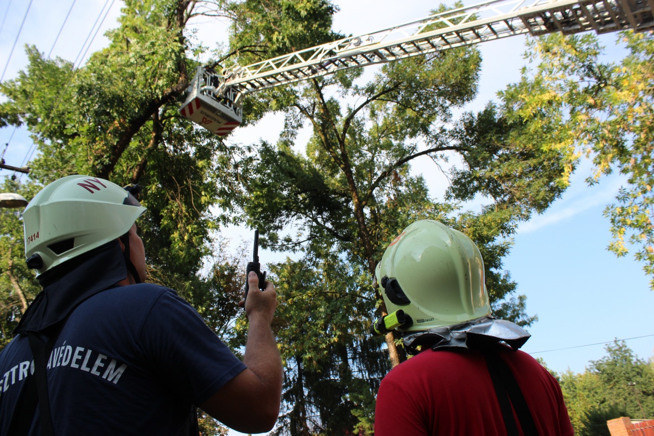 Közel negyven esetben vonultak a tegnapi kora délutáni vihar miatt
