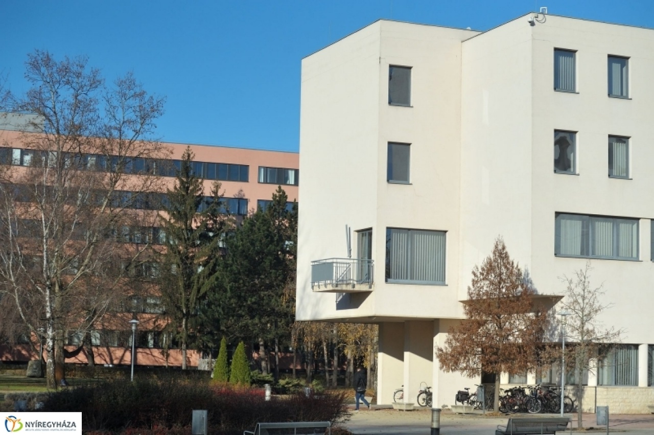 Szakirányú továbbképzések