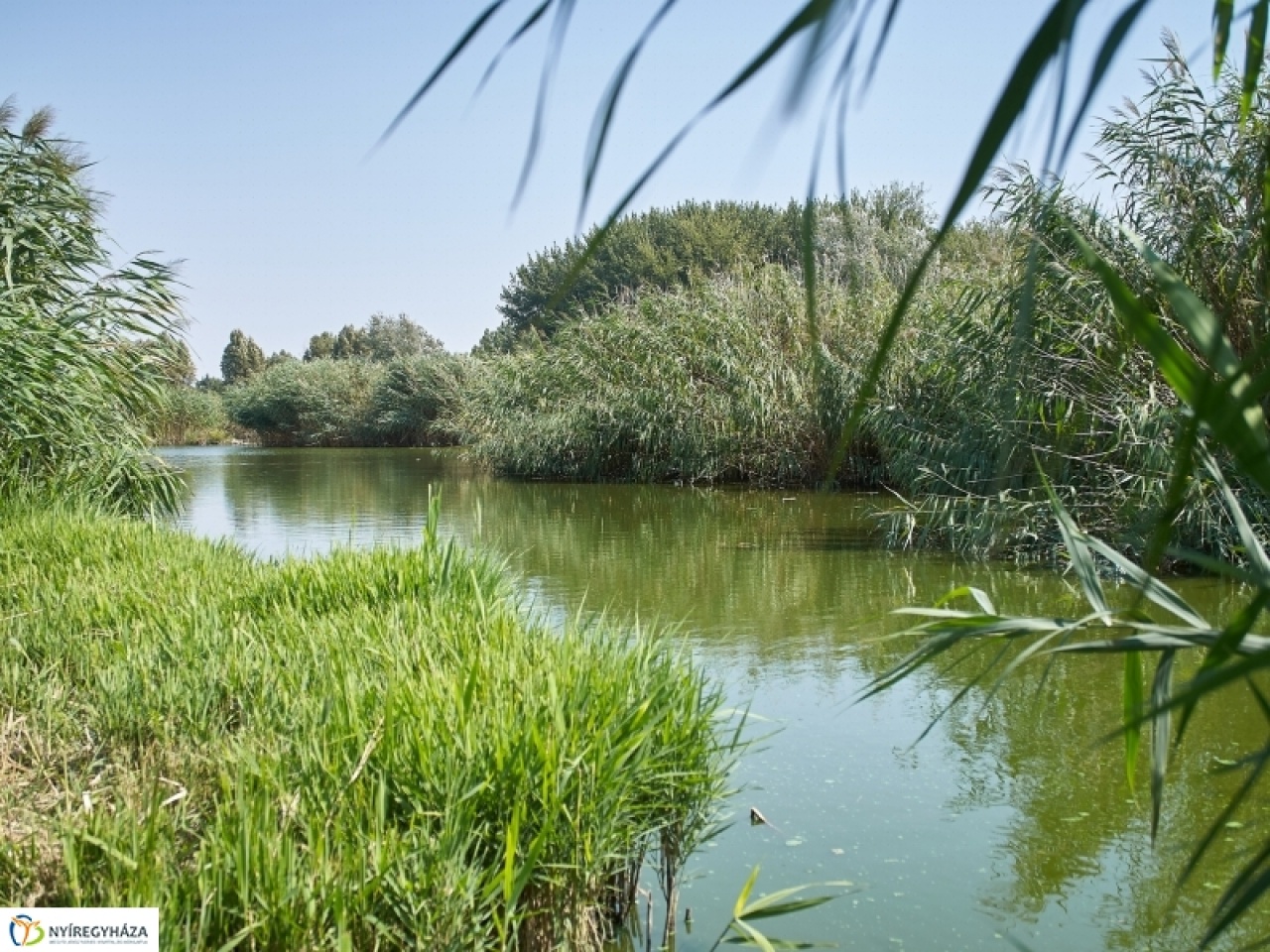 Egy boldog nyár a Bujtoson...