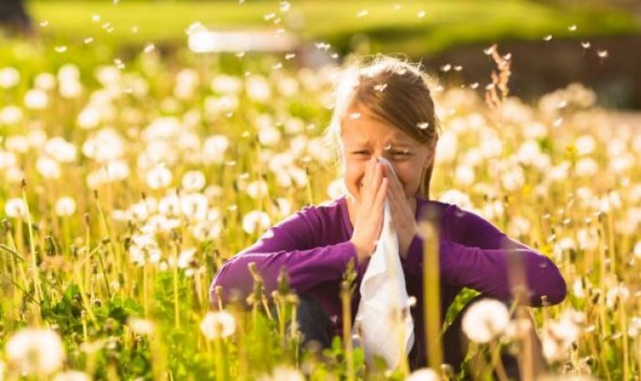 Pollenriadó lépett életbe