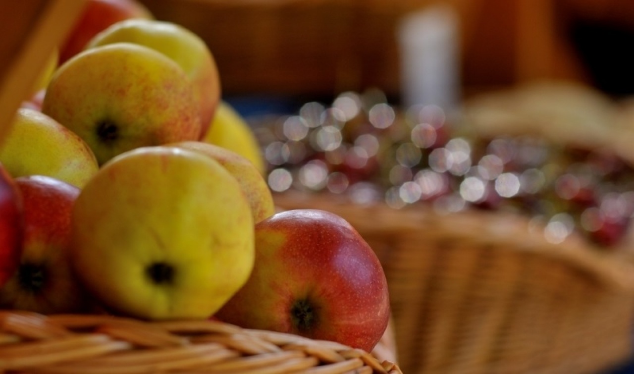 Szeptemberben is vár mindenkit a Sóstói piac!