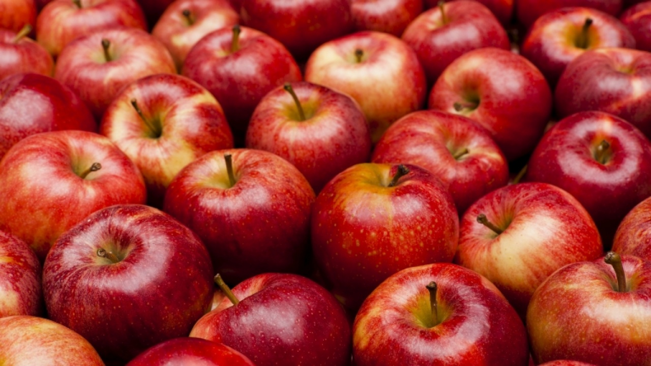 Megkezdődött az ipari alma beszállítása a szabolcsi feldolgozóüzemekbe