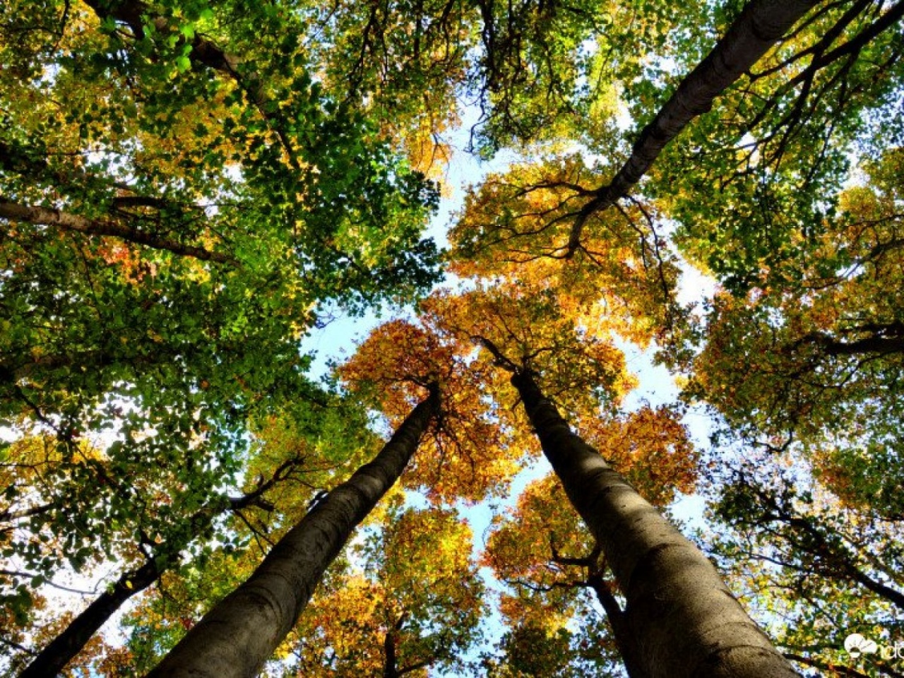 Ilyen időjárásra számíthatunk a héten – Csapadékból kevesebb, napsütésből több lesz
