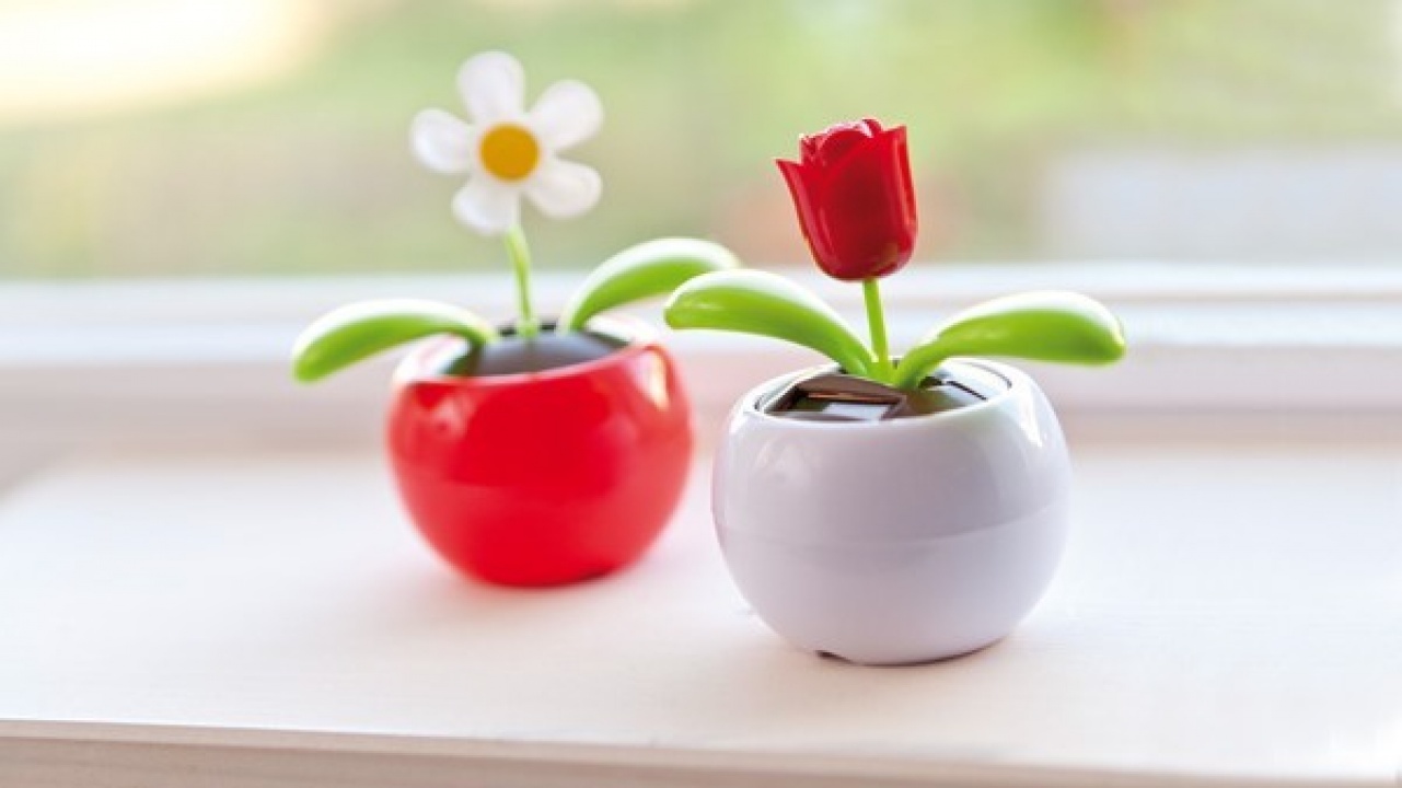 Szeptember 10. és 22. között ismét Hulladékért virágot akciót szerveznek Nyíregyházán