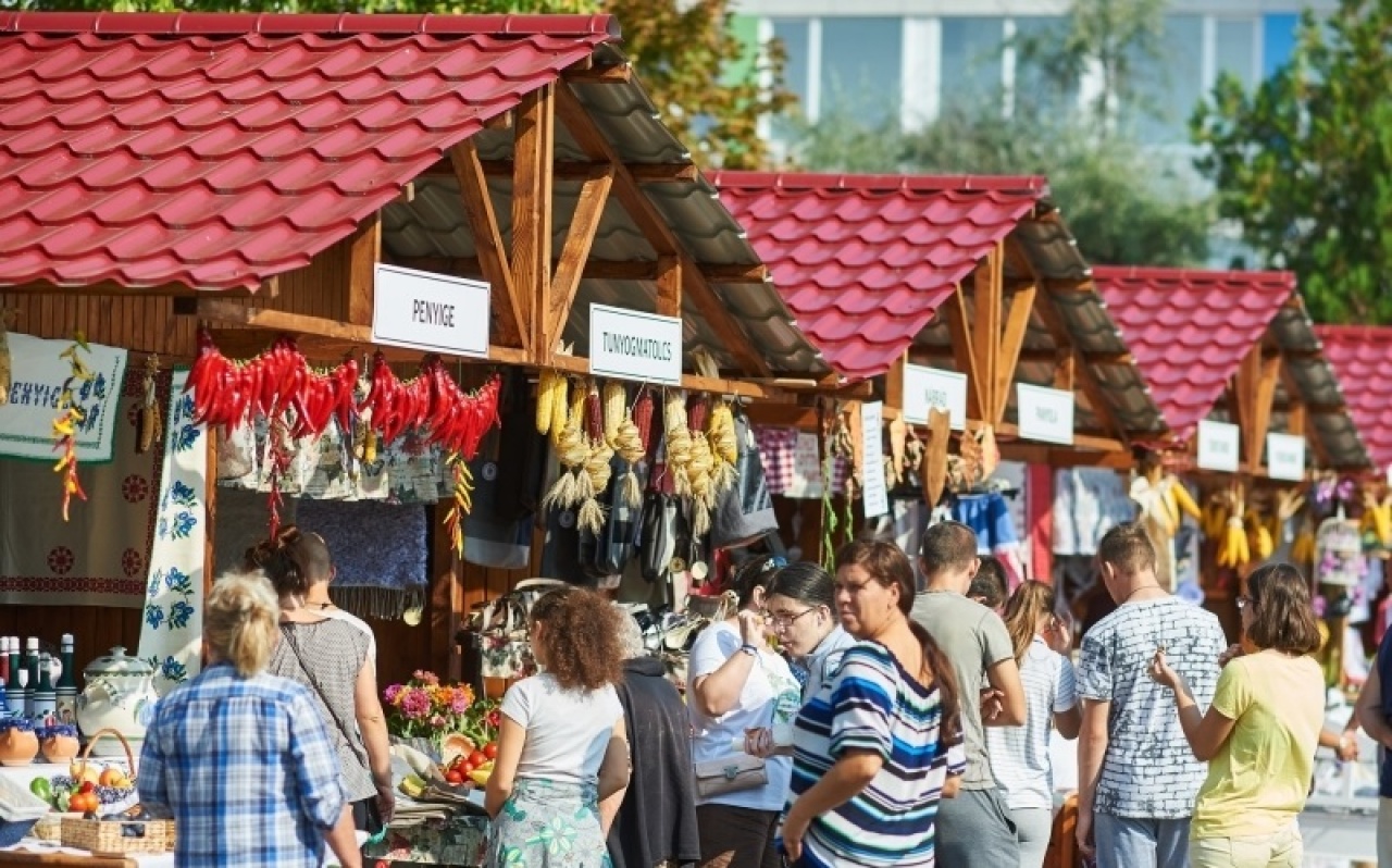 Hasznos közfoglalkoztatás – Értéket teremt és jövőre is folytatódik!
